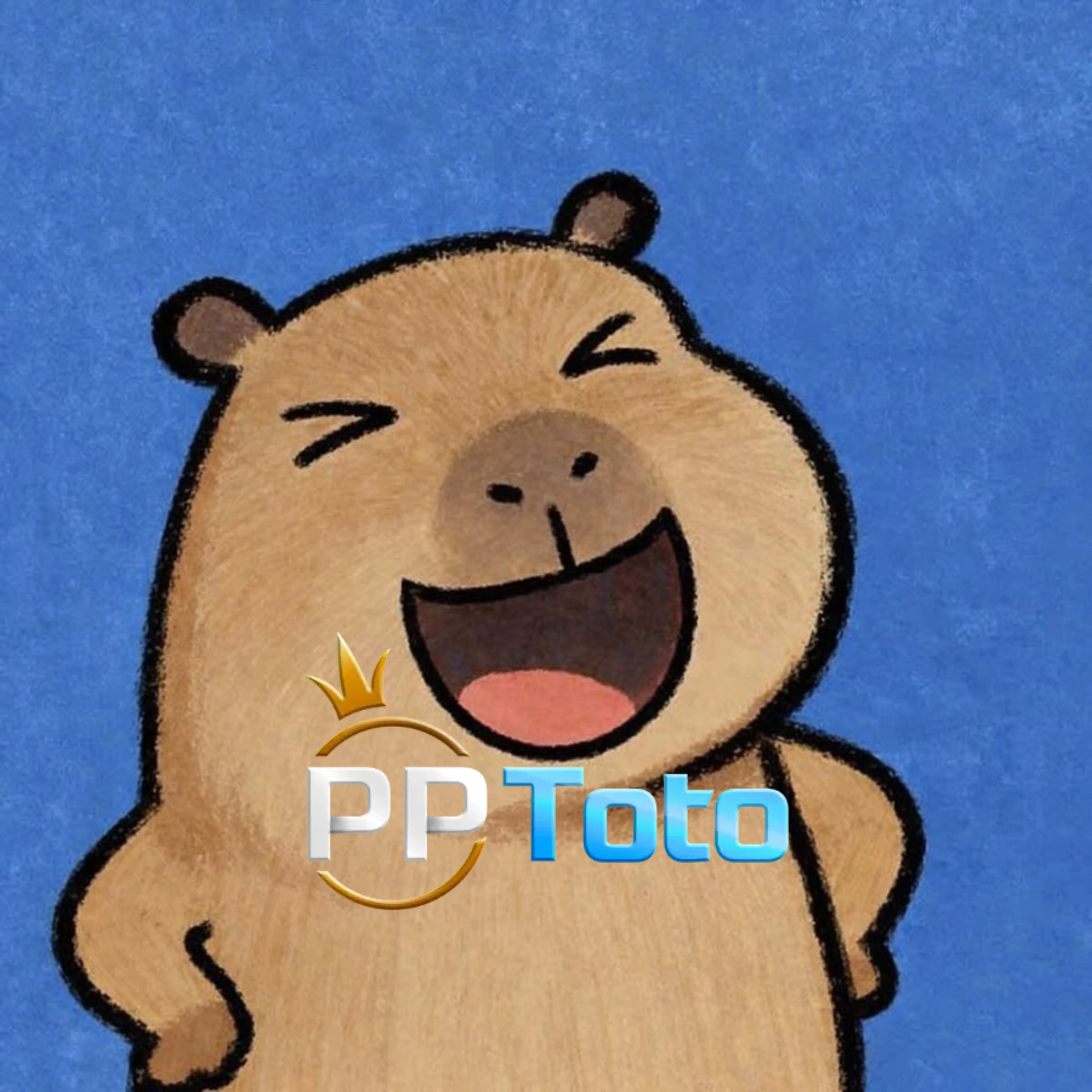 PPTOTO | Contact RomaSittard Questions About Our Shoes